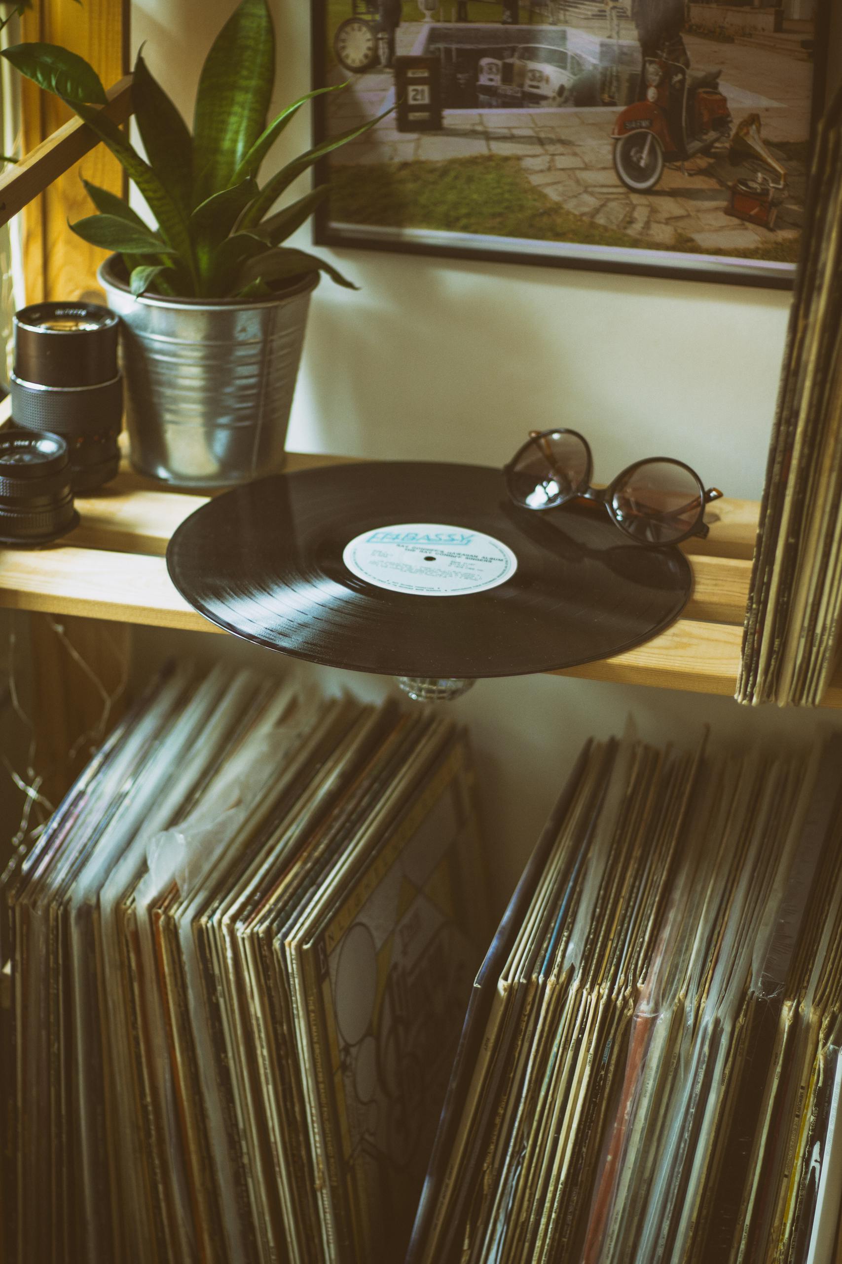 Vintage shelf with vinyl records, sunglasses, and a potted plant adding a retro vibe.